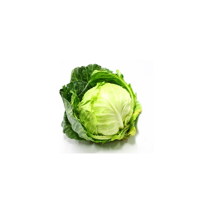 Cabbage