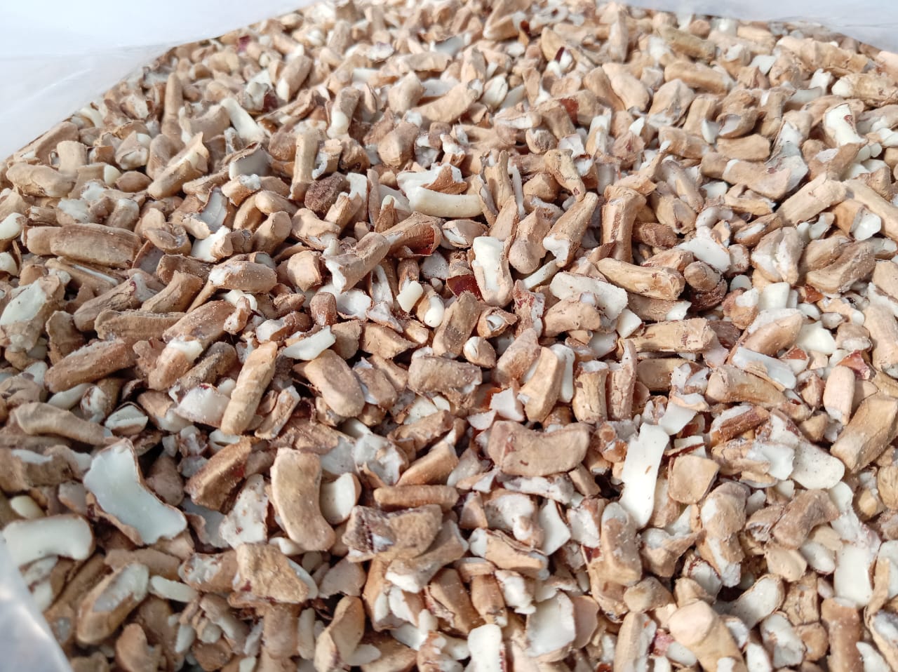 Marula Nuts 1kg Bucket