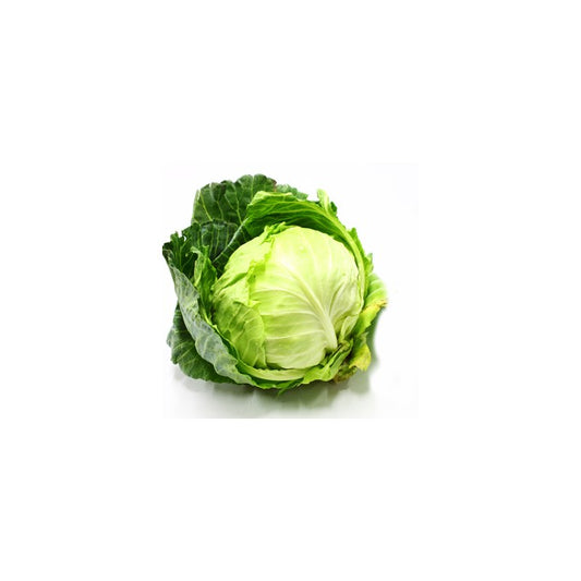 Cabbage